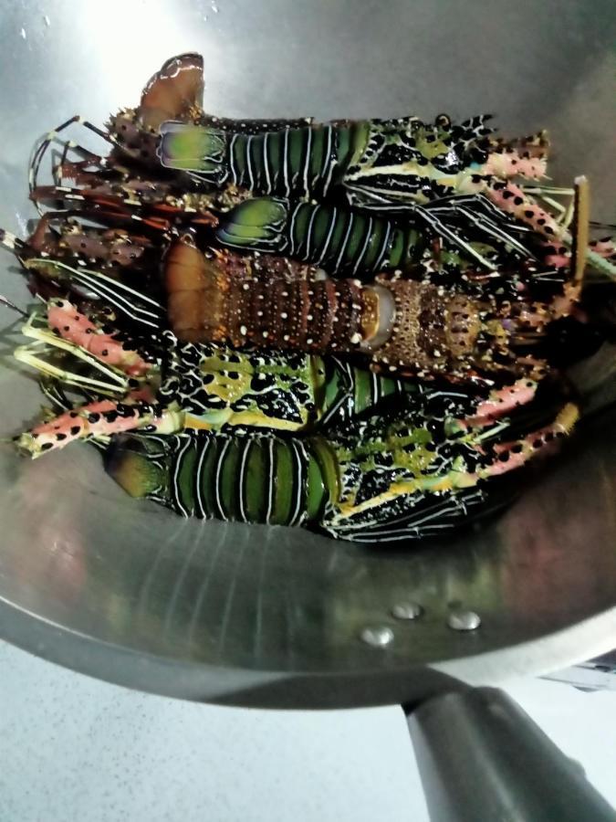 Lang2 Place كورون المظهر الخارجي الصورة